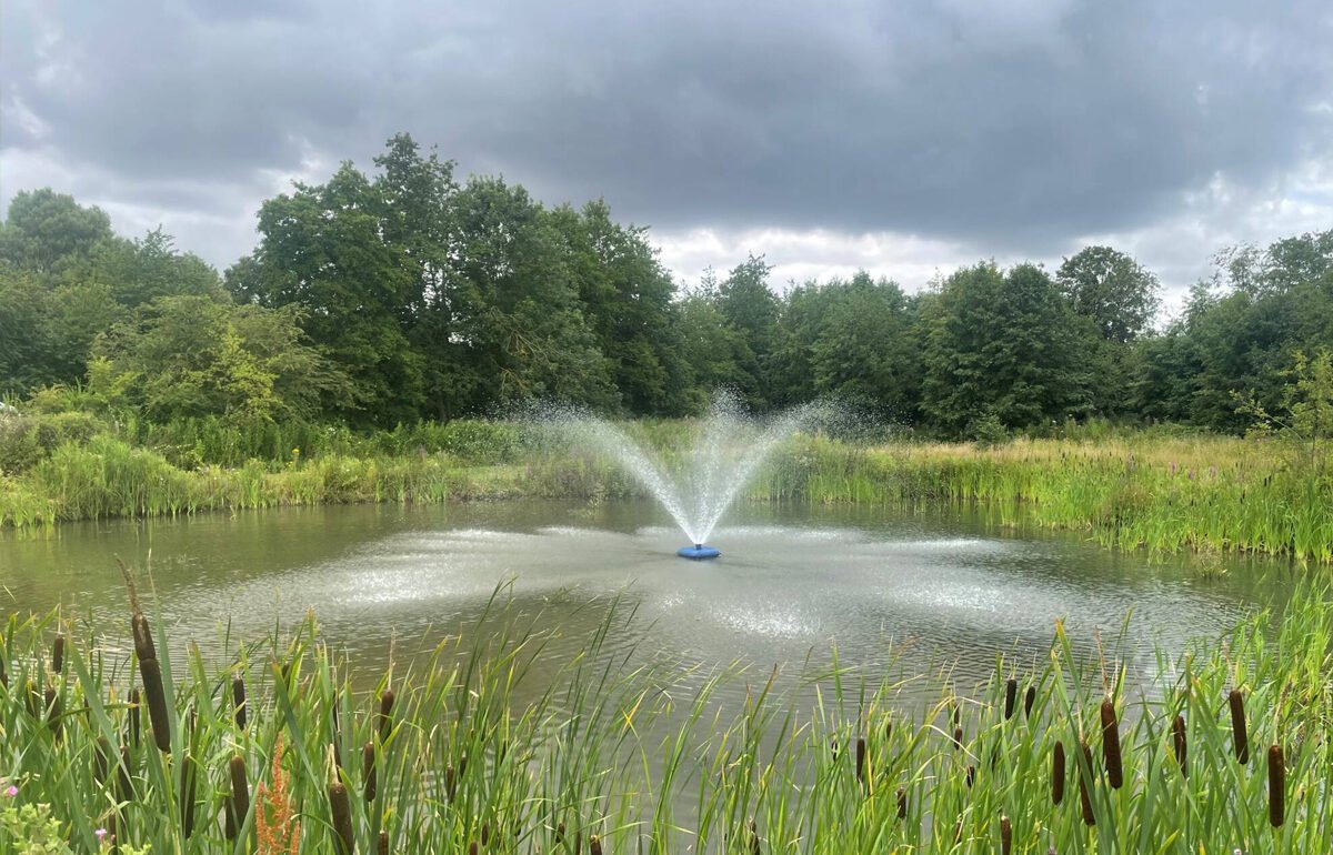 Sandwich Lakes and Scenery
