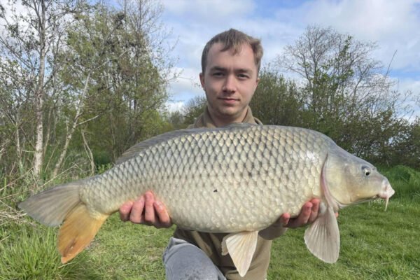 sandwich-lakes-recent-catches-fishing5